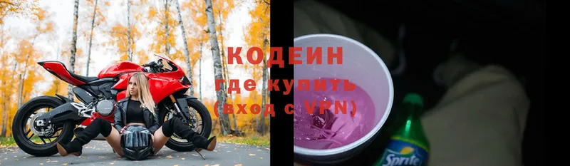 kraken как зайти  Анива  Кодеин Purple Drank 